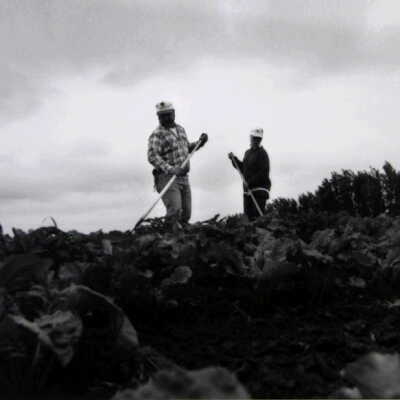 Two Field Workers