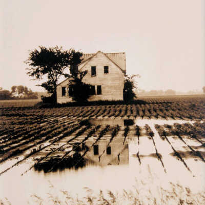 Landscape 4: House in Wet Beet Field