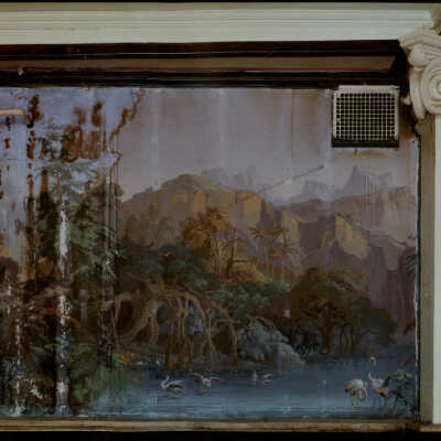 Paterson Hotel Damaged Wallpaper with Water Birds, Bismarck, ND