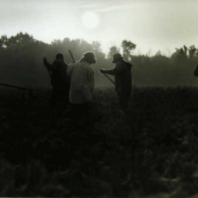 Six Field Workers