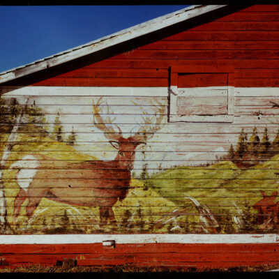 Barn Painting Detail of Deer by Freidl Egel, Cando, ND