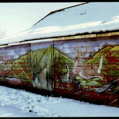 Deer Barn Painting by Fridl Eggl, Who Farmed the Bob Brightbill Homestead, Door Closed. ND 81, near Cando, ND. 2/20/81
