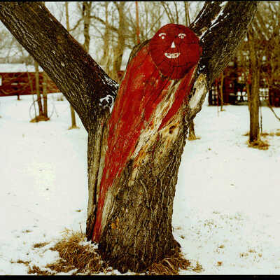 Tree Painted Trunk at Sam Bjertness' Home. ND 18, Hatton, ND. 1/31/81