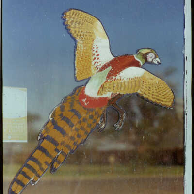 Pheasant Painting on Glass Door of Gas Station, Wolsey, SD