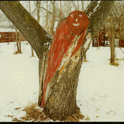 Tree Painted Trunk at Sam Bjertness' Home. ND 18, Hatton, ND. 1/31/81