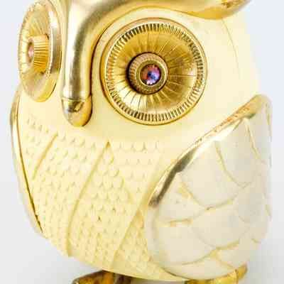 Oblique View
