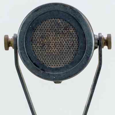 Microphone