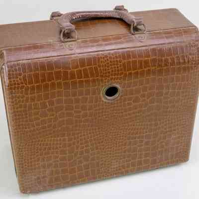 Oblique View Case Back