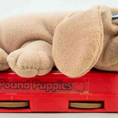 Pound Puppies AM Transistor Radio