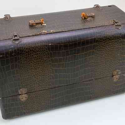 Case