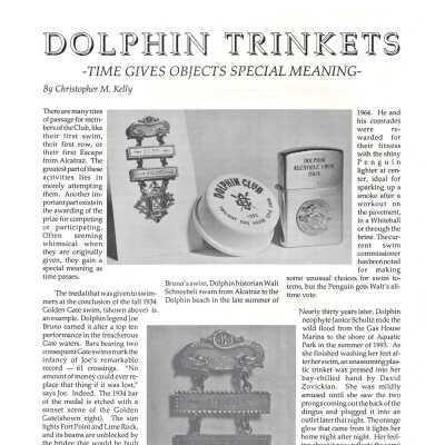 Log Article on Trinkets