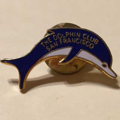 Pin