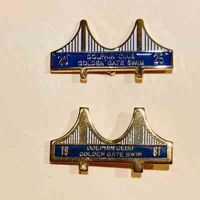 1981 pin looks more gold color since border and towers of GG Bridge are thicker. 2025 pin looks a cooler gold, and has more white between vertical cables of GG Bridge.