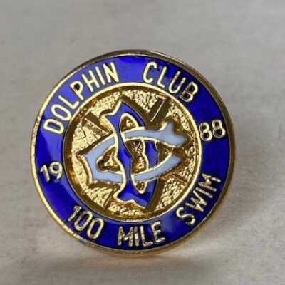 Pin