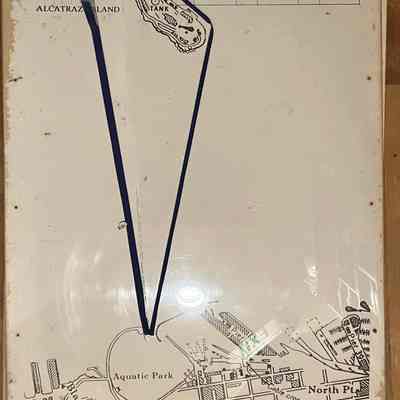 Swim Briefing Board