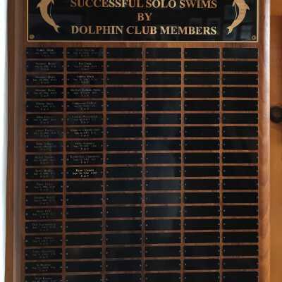 Swimming Plaque