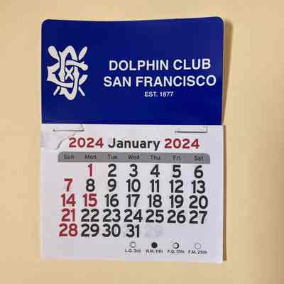 2024 in collection