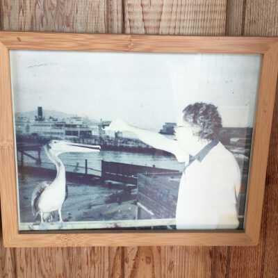 Lou and Pelican