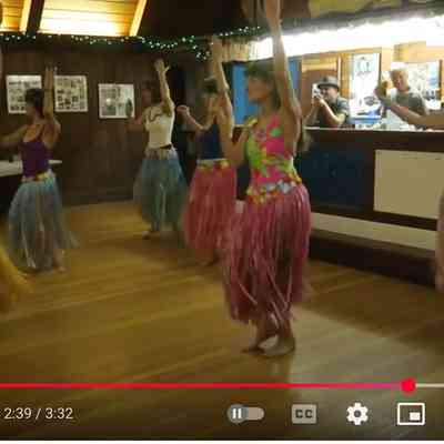 Dolphin Hula 2015