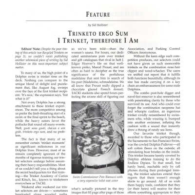 Log Article on Trinkets