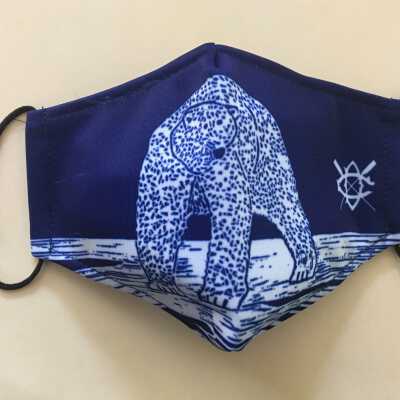 Covid-19 mask