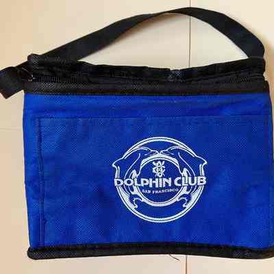 Insulated bag