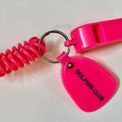 Keychain with Whistle & Wristband