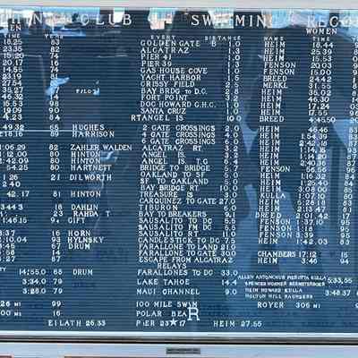 Swimming Records Board