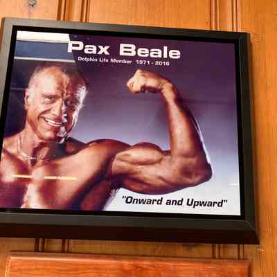 Poster of Pax Beale