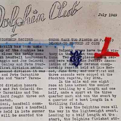 Example of the bookmark on an old Dolphin Log
