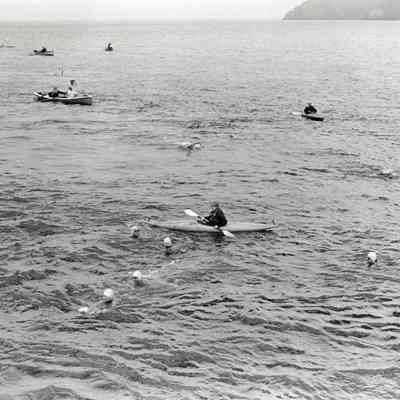 Image 198527c Swim action