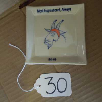 Inspirational award