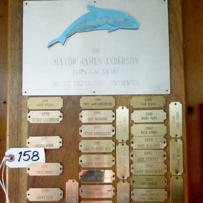 Swimming Plaque
