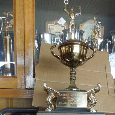Swimming Trophy