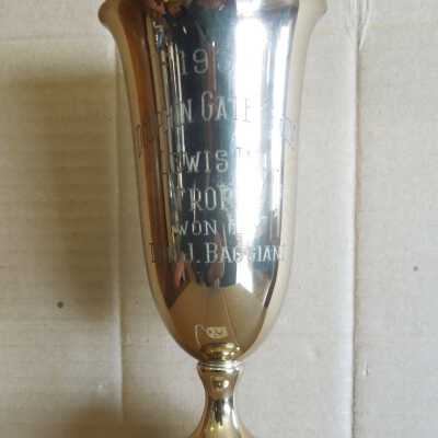 Swimming Trophy