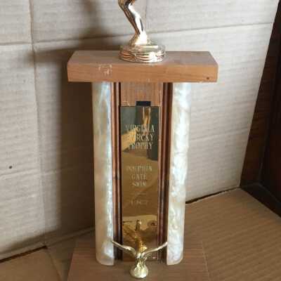 Swimming Trophy