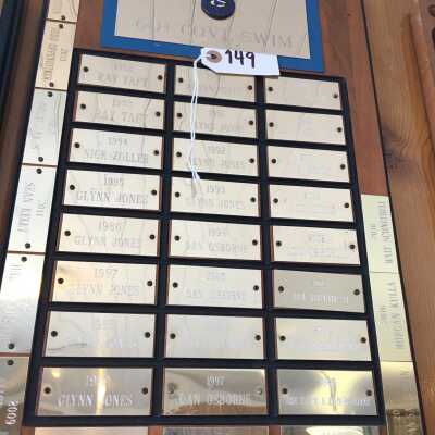 Swimming Plaque