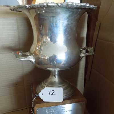 Swimming Trophy