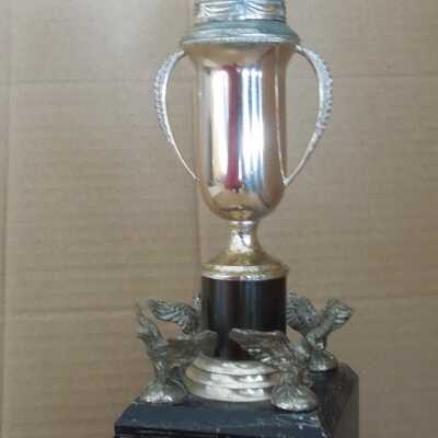 Swimming Trophy