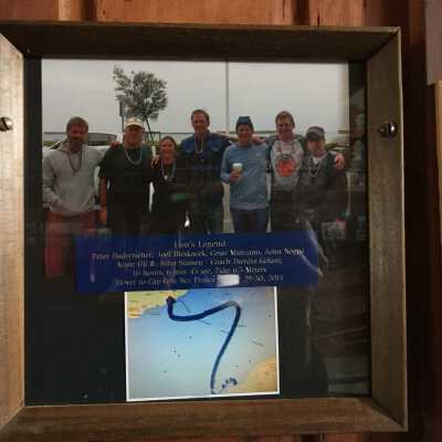 2014 Dolphin Club English Channel Relay Swim