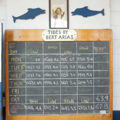 Tide Board