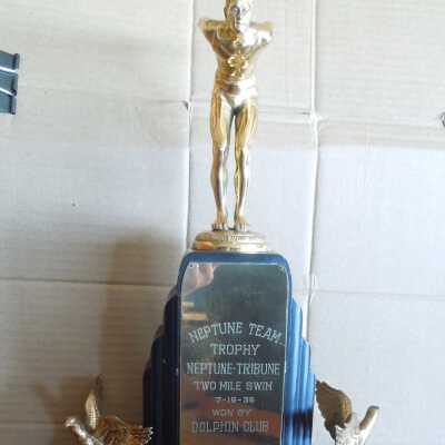 Swimming Trophy