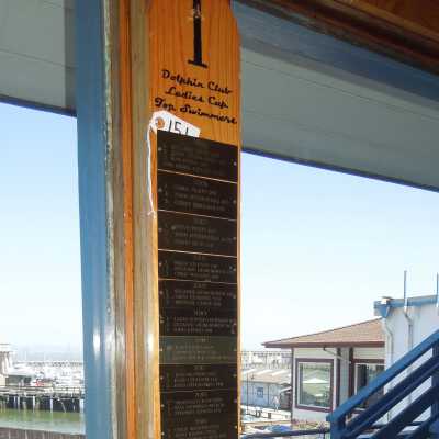 Ladies Cup Swimming Plaque