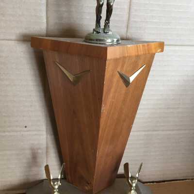 Swimming Trophy