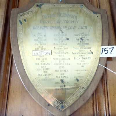 Swimming Plaque
