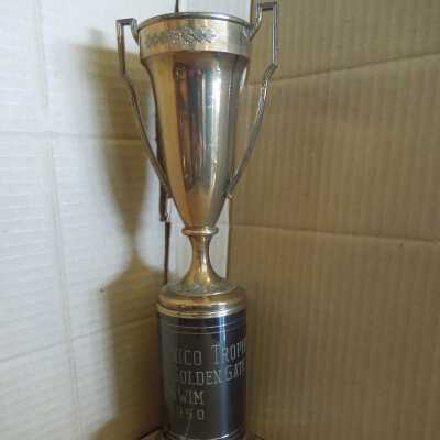 Swimming Trophy