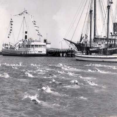 Cove Swim 1973