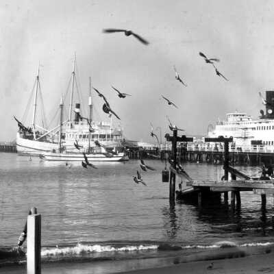 Aquatic Park Scene