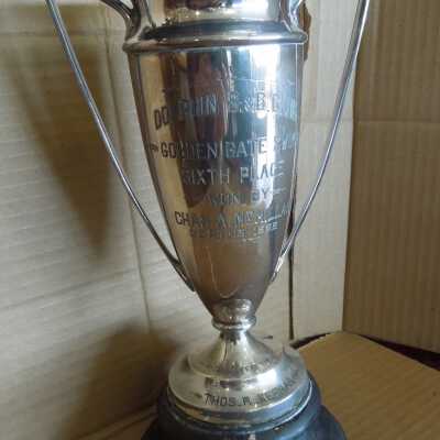 Swimming Trophy