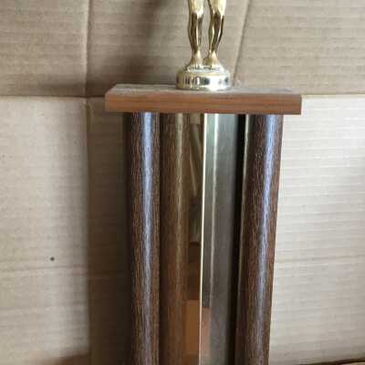 Swimming Trophy